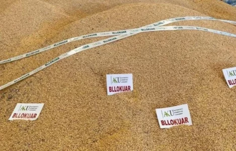 Shqipëria ndalon 51 ton misër nga Serbia, konstatohet prani e substancave kancerogjene