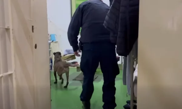 Bastisje në Burgun e Dubravës, përfshihet edhe njësiti special K9