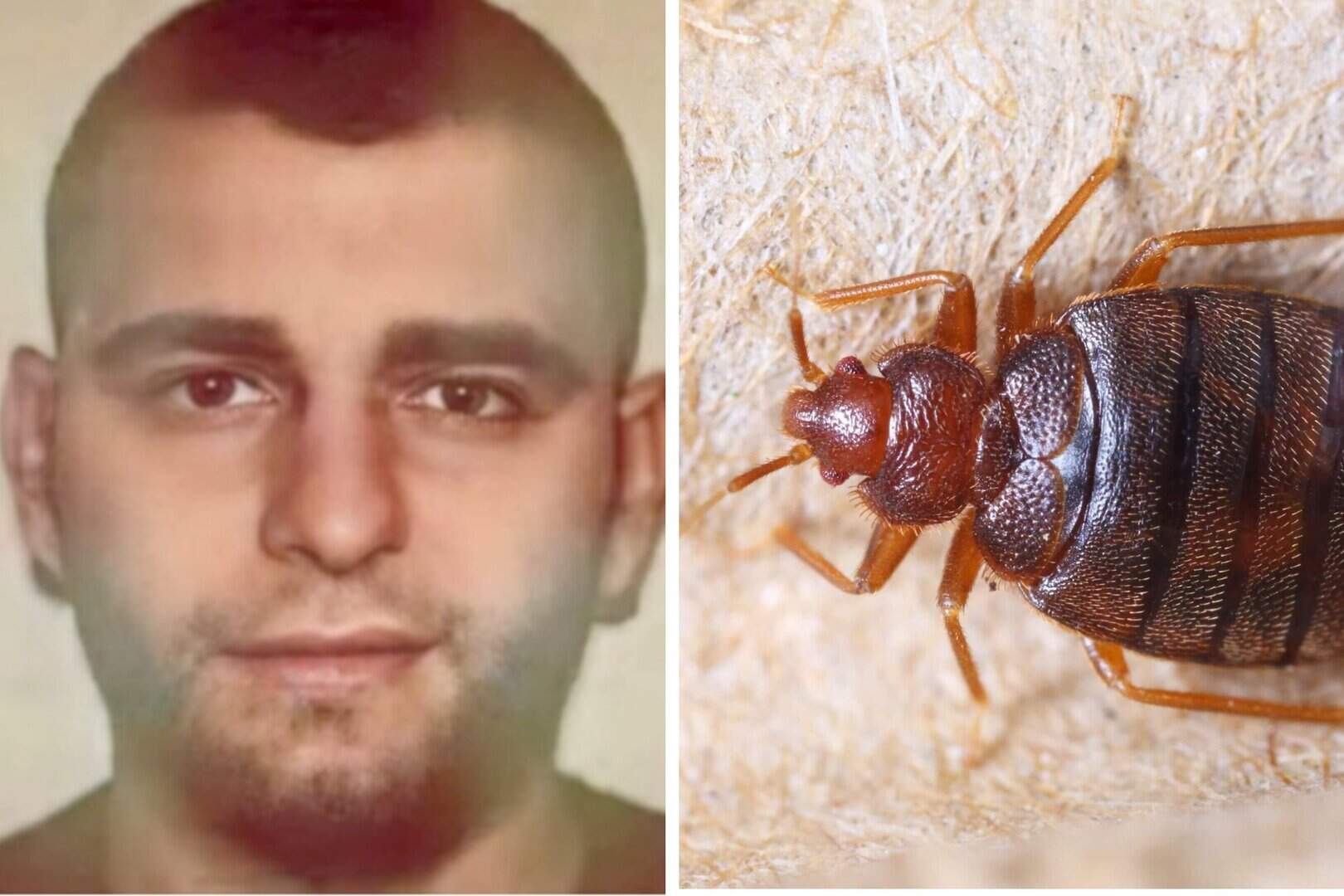 Pleshtat ndërpresin gjyqin në Bruksel ndaj narkotrafikantit shqiptar, gjyqtarja: Lani rrobat me 60 gradë Celcius