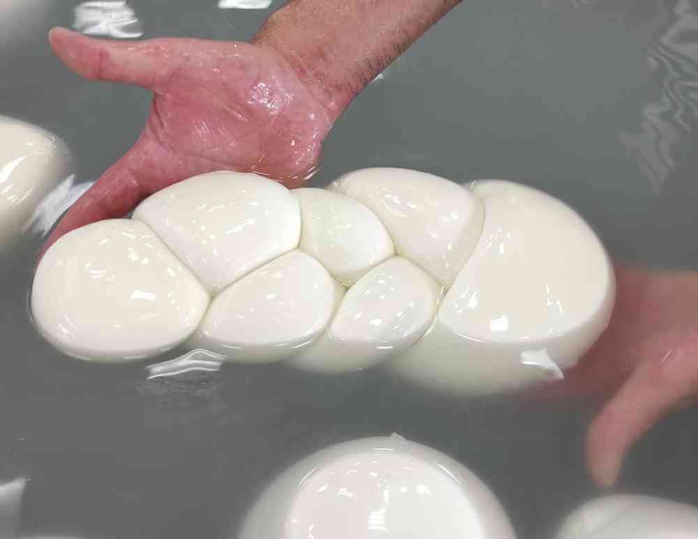 Djathi Mozzarella me origjinë nga Italia dyshohet të jetë i kontaminuar me aflatoksinë