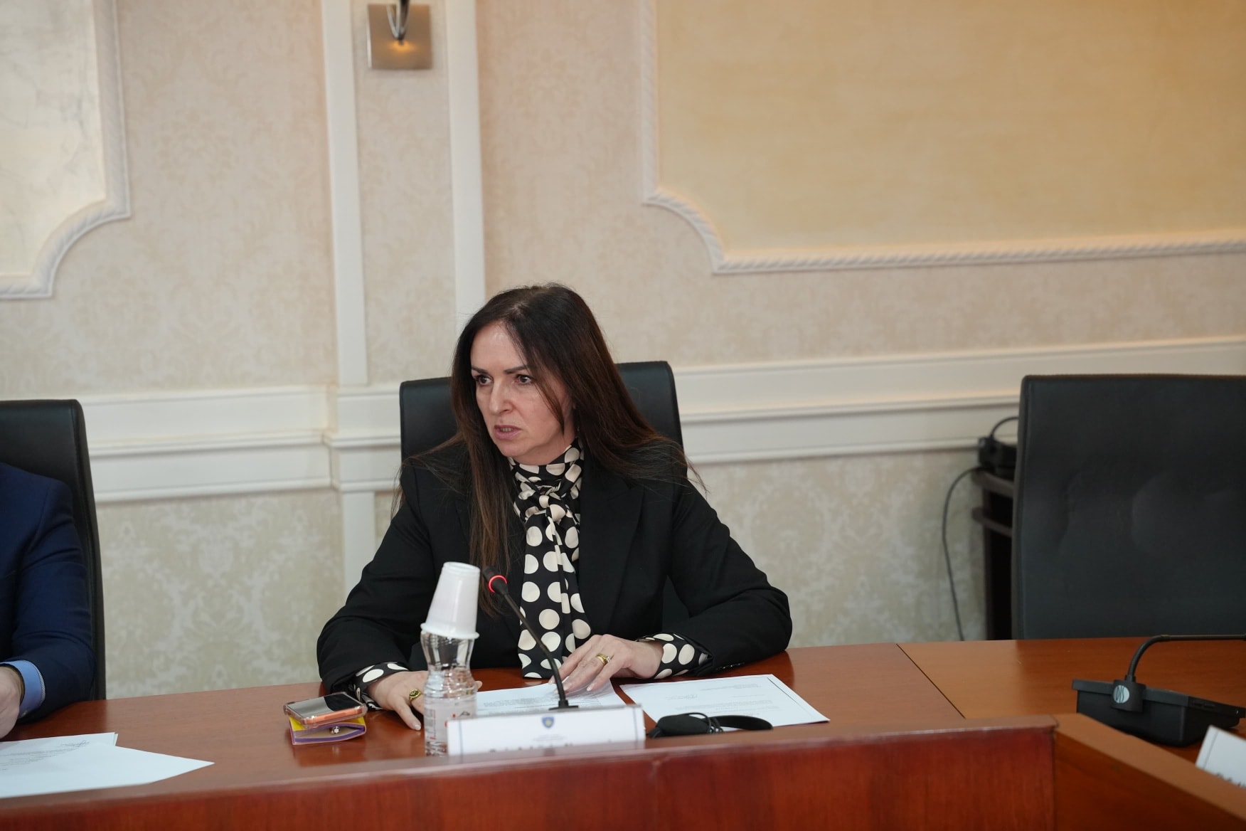 Shefja e deputetëve të VV-së: Osmani ka bërë punë të shkëlqyeshme, por për mandat tjetër nevojiten votat në kuti